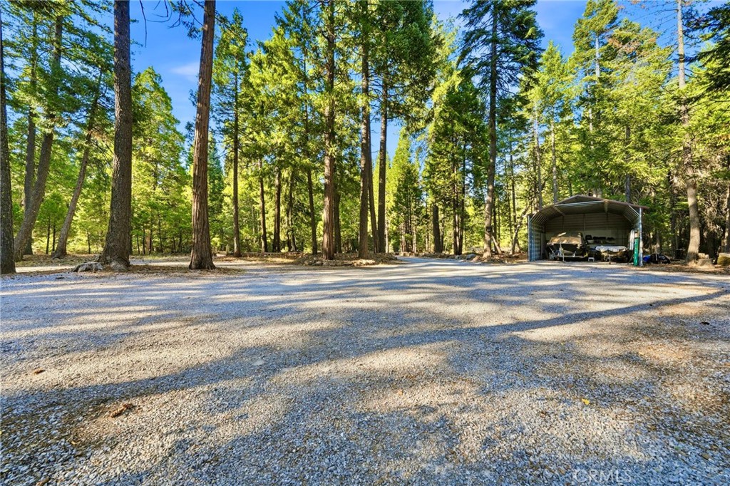 34643 Emigrant Trail Property Photo 44