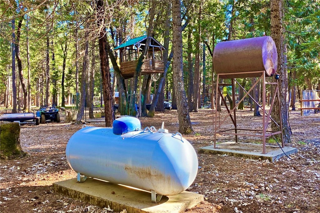 34643 Emigrant Trail Property Photo 48