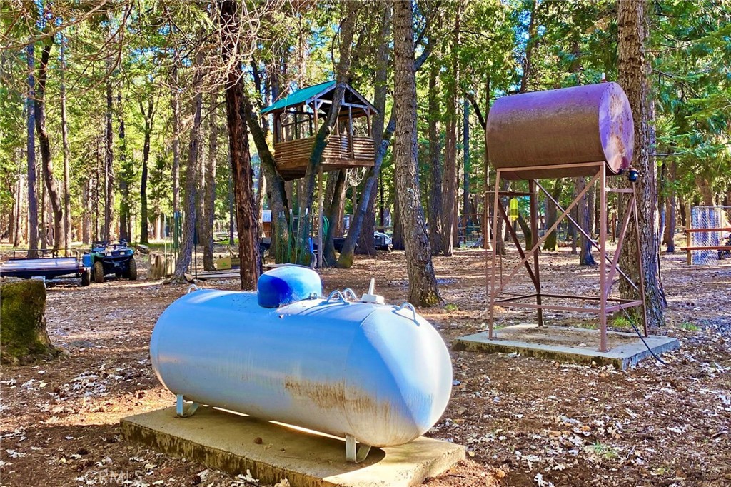 34643 Emigrant Trail Property Photo 48