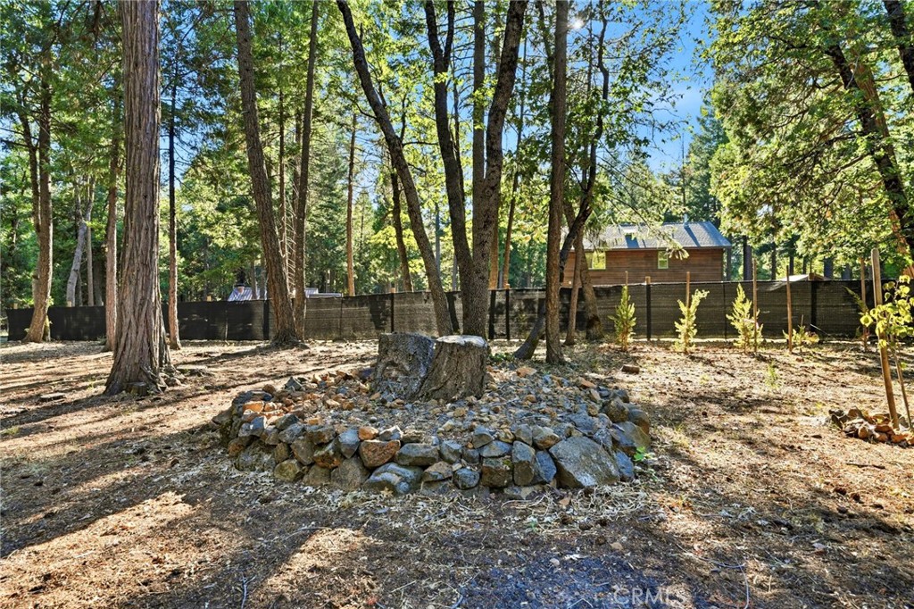 34643 Emigrant Trail Property Photo 61