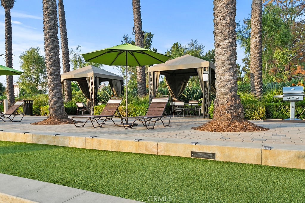 41 Carpenteria Property Photo 56
