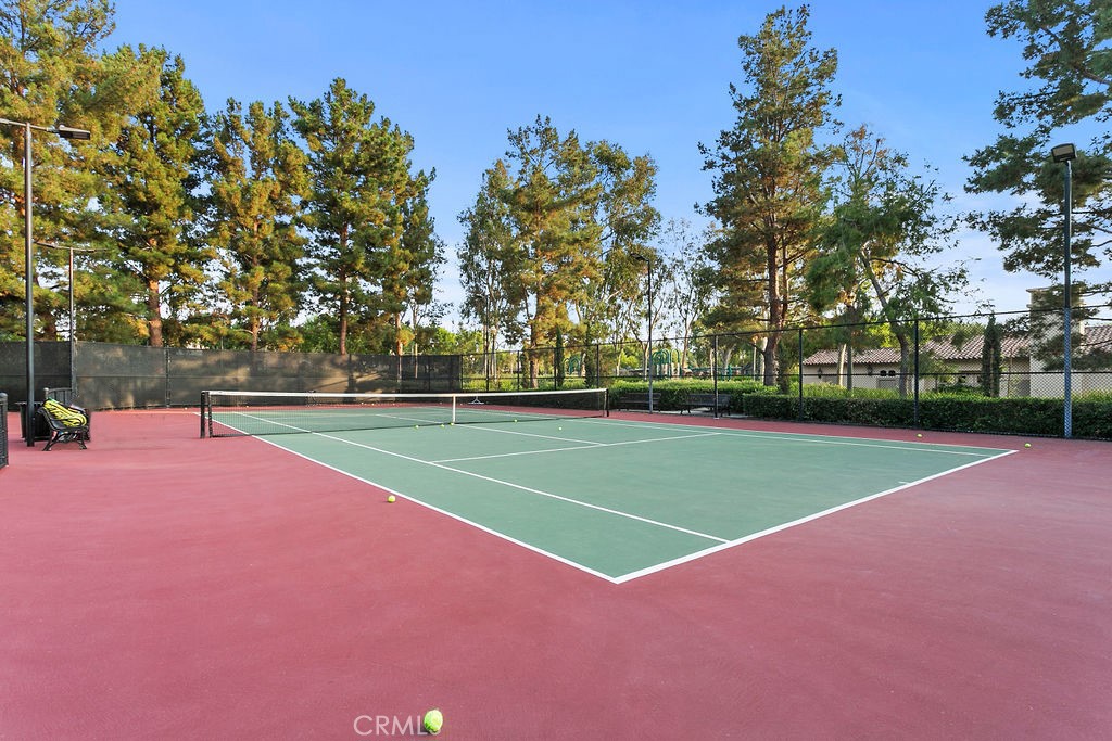 41 Carpenteria Property Photo 58