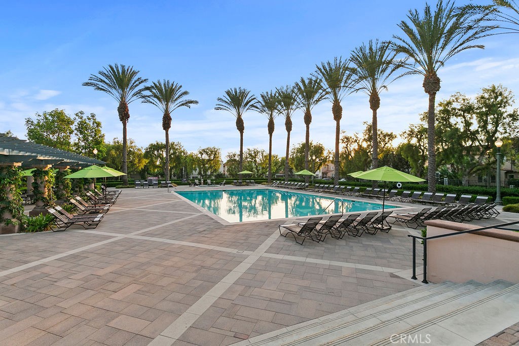 41 Carpenteria Property Photo 63