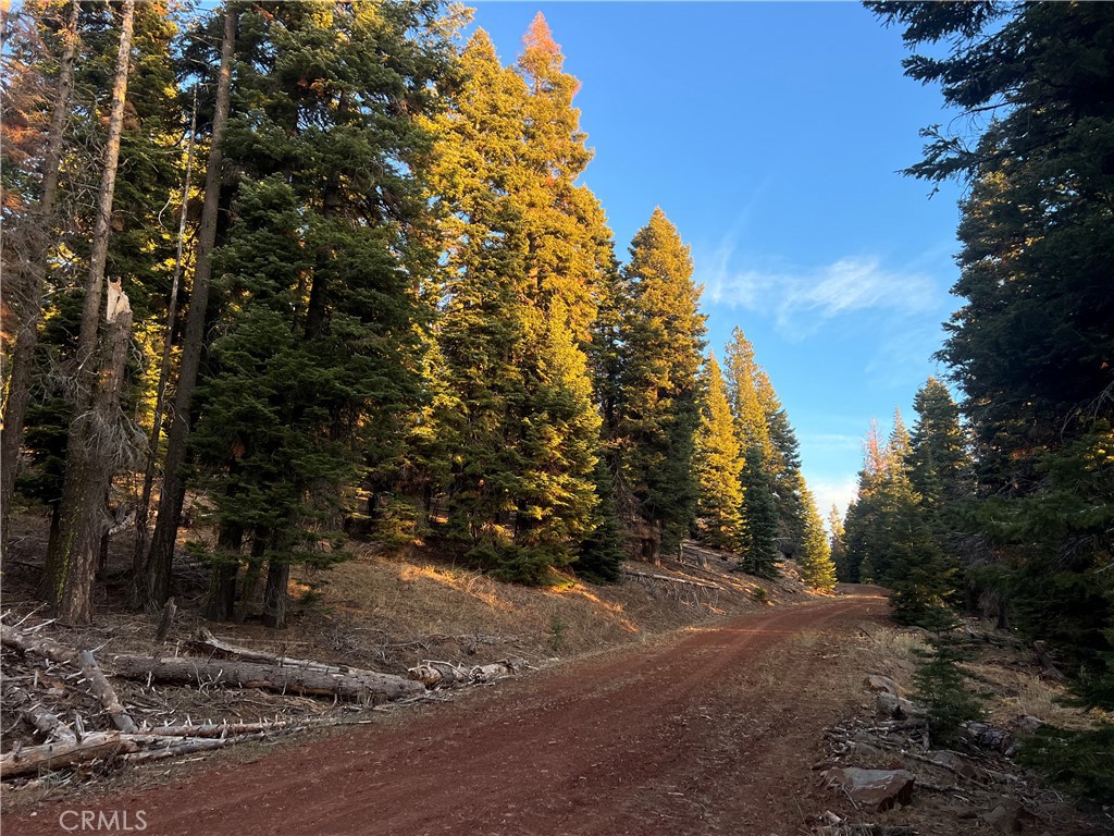0 S. Ozite Road Property Photo 1