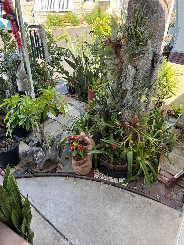 34052 Doheny Park Property Photo 5