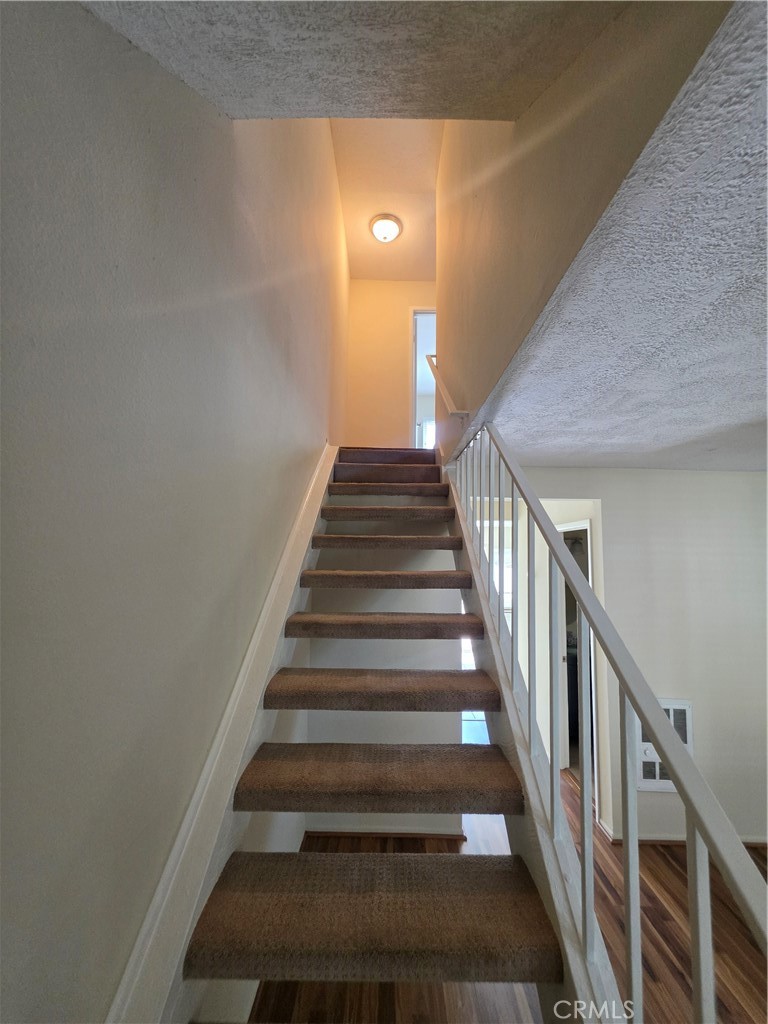 4 Albany Property Photo 8