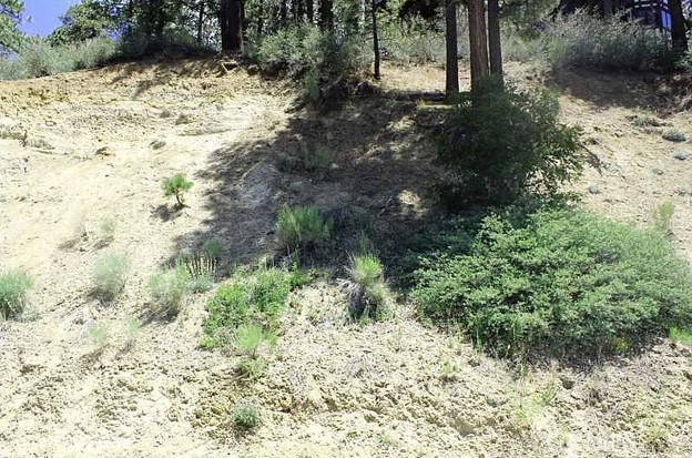 801 Menlo Property Photo 3