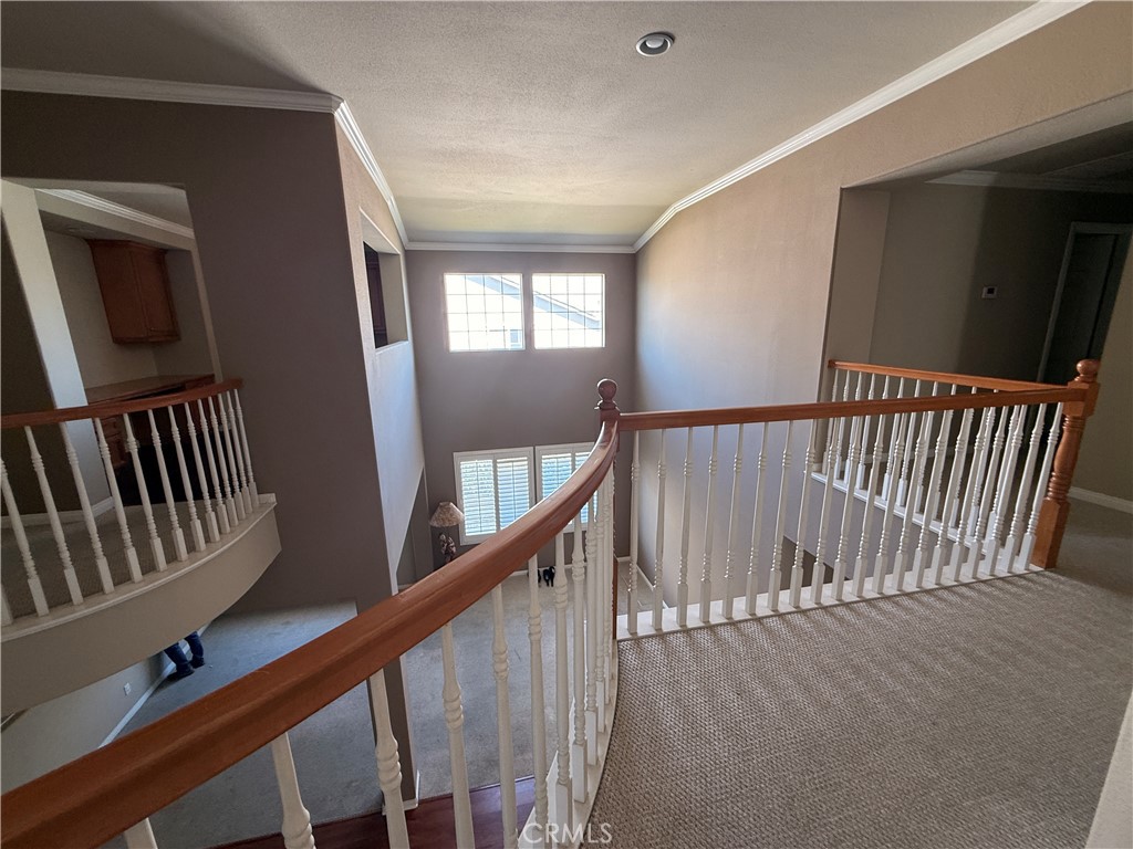 11262 Tesota Loop Property Photo 16