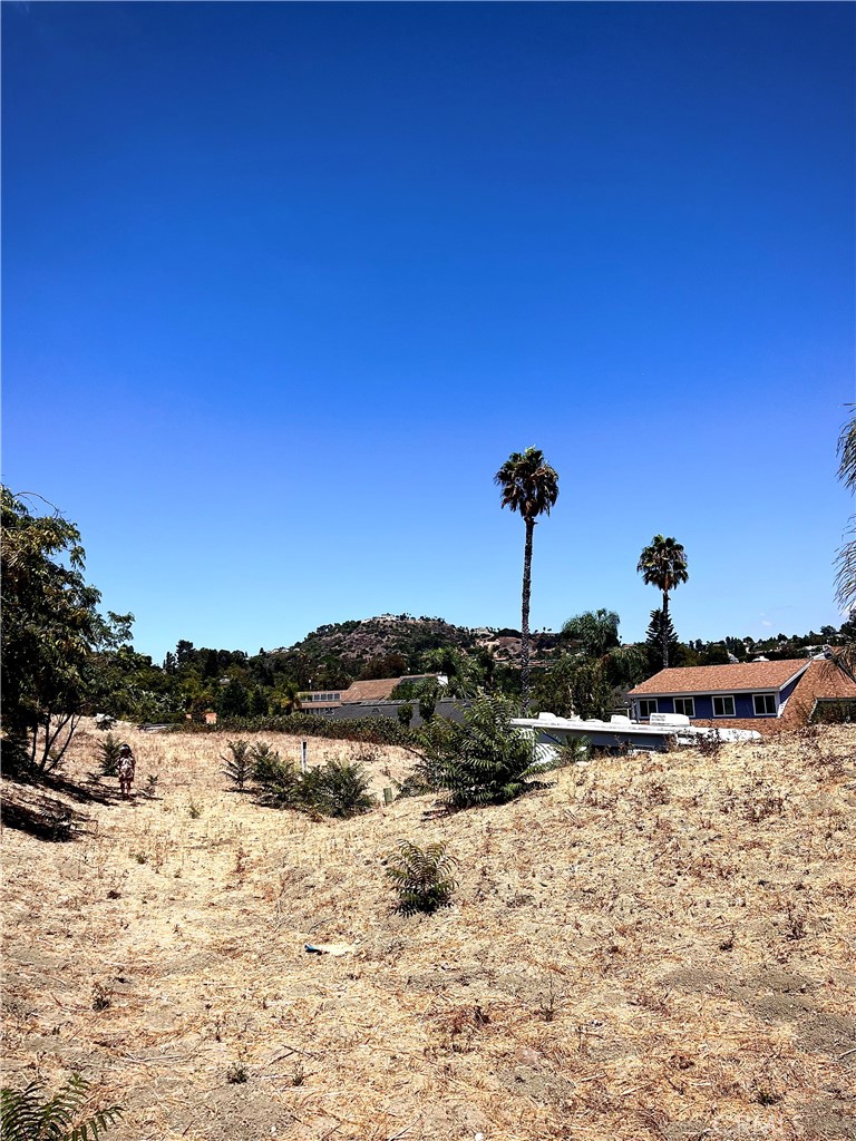 19382 Lemon Circle Property Photo 1