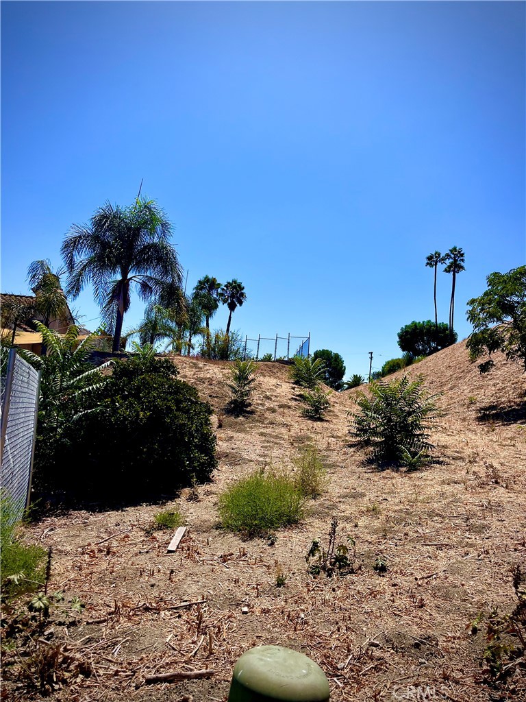 19382 Lemon Circle Property Photo 2