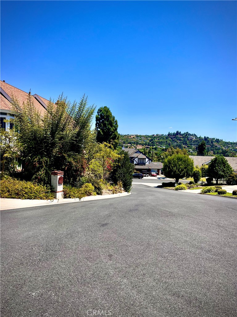 19382 Lemon Circle Property Photo 3