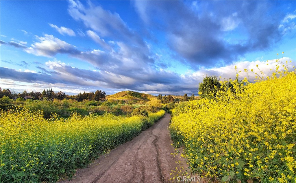 8 National Place Property Photo 70