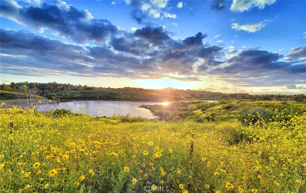 8 National Place Property Photo 72