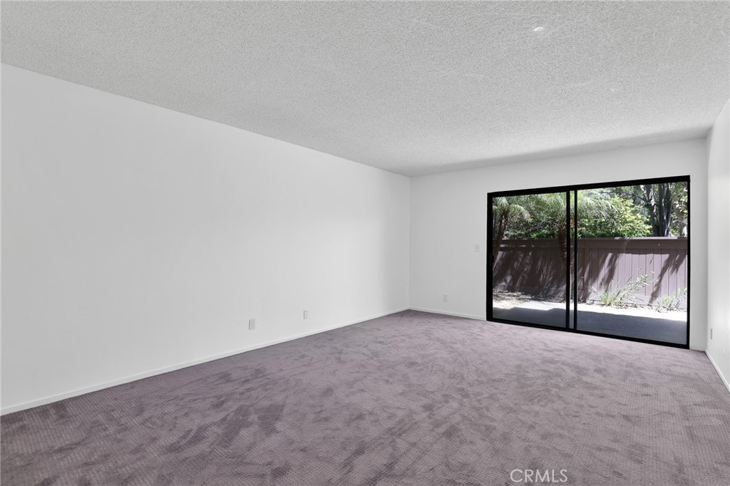 19544 Vasile Cir Property Photo 21