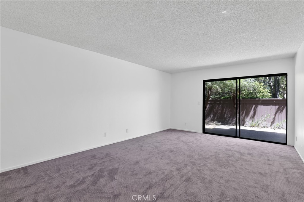 19544 Vasile Cir Property Photo 21
