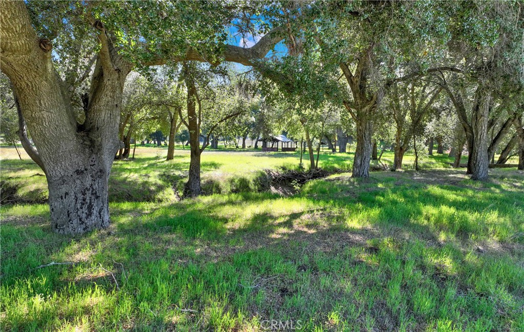 36000 Tenaja Truck Trail Property Photo 4