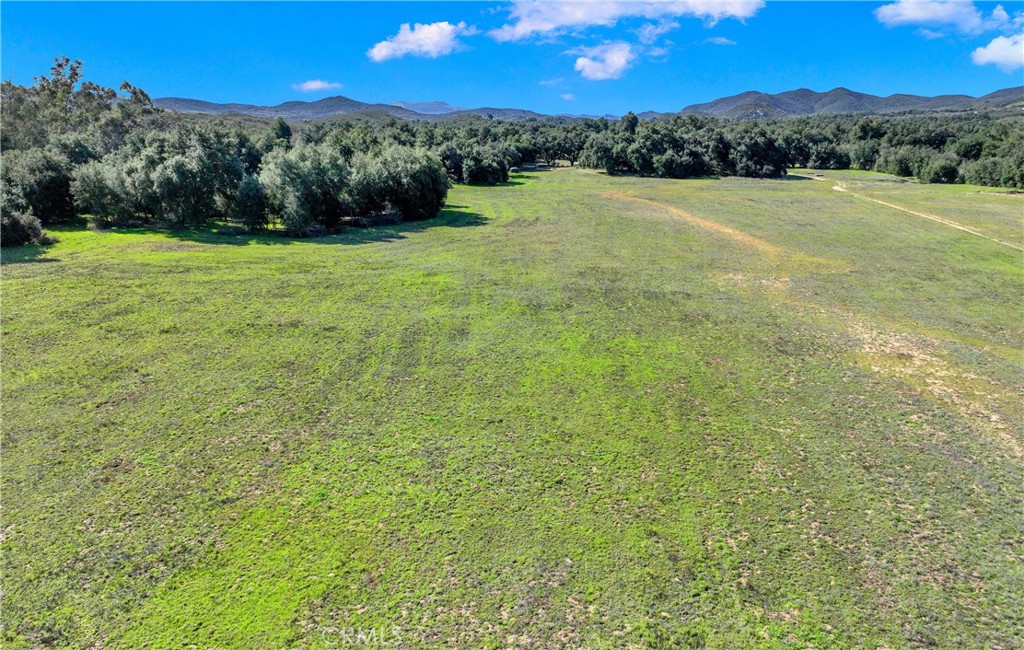 36000 Tenaja Truck Trail Property Photo 7