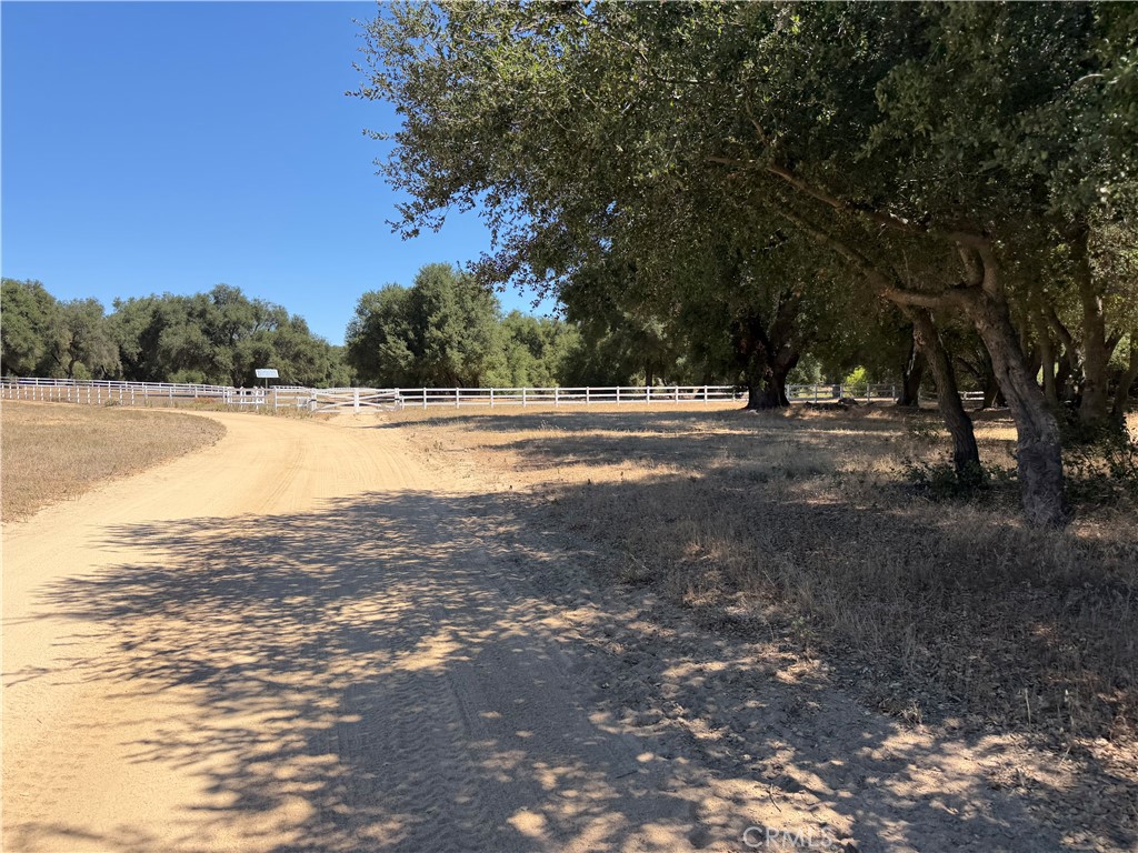 36000 Tenaja Truck Trail Property Photo 11