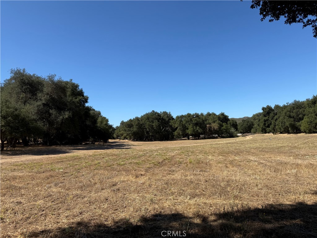 36000 Tenaja Truck Trail Property Photo 16