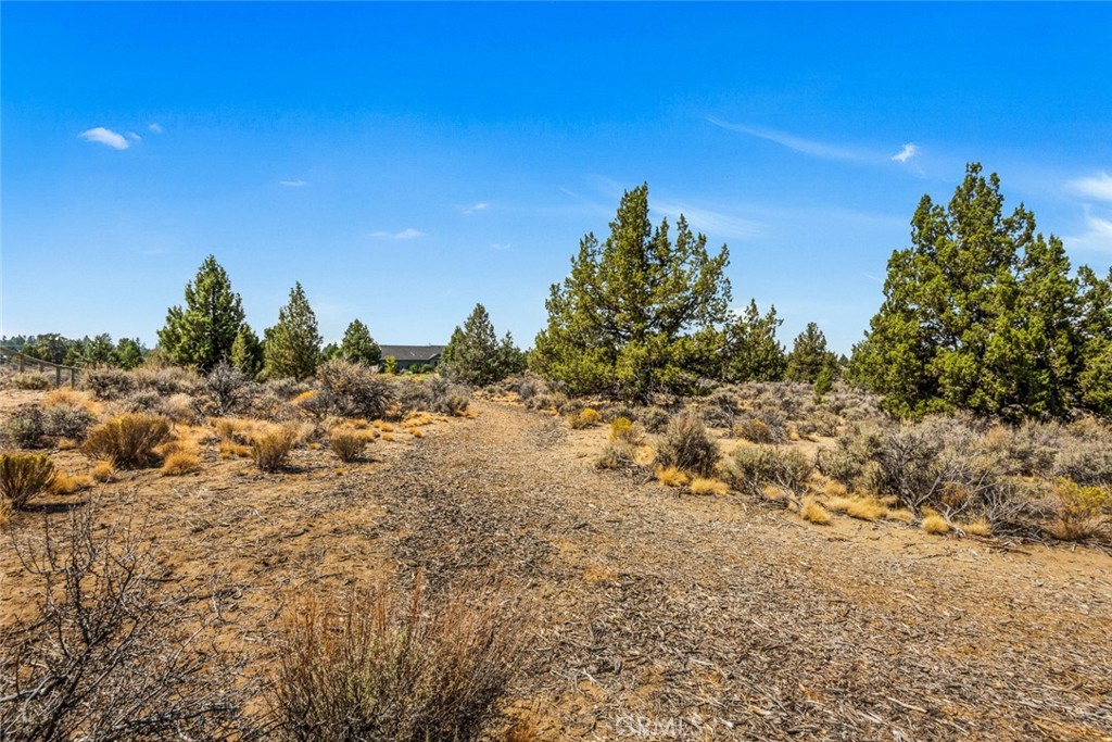 60870 Billadeau Property Photo 23