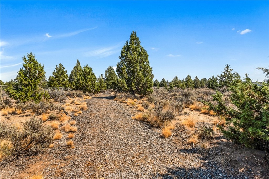 60870 Billadeau Property Photo 32