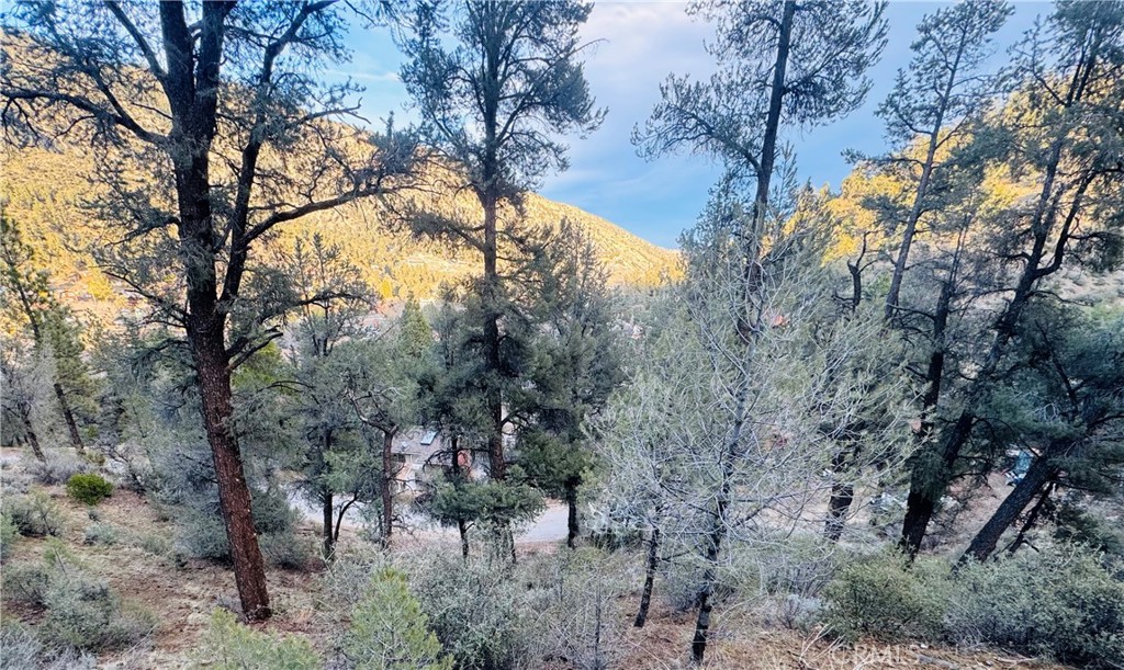 0 0 Property Photo 1