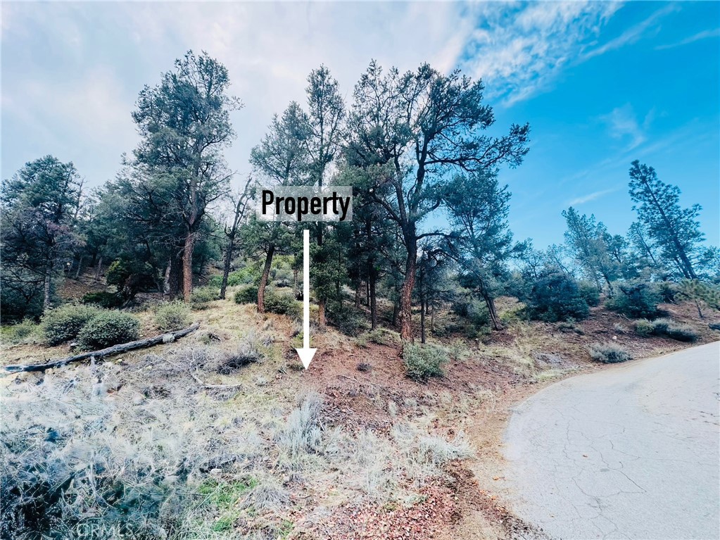 0 0 Property Photo 2