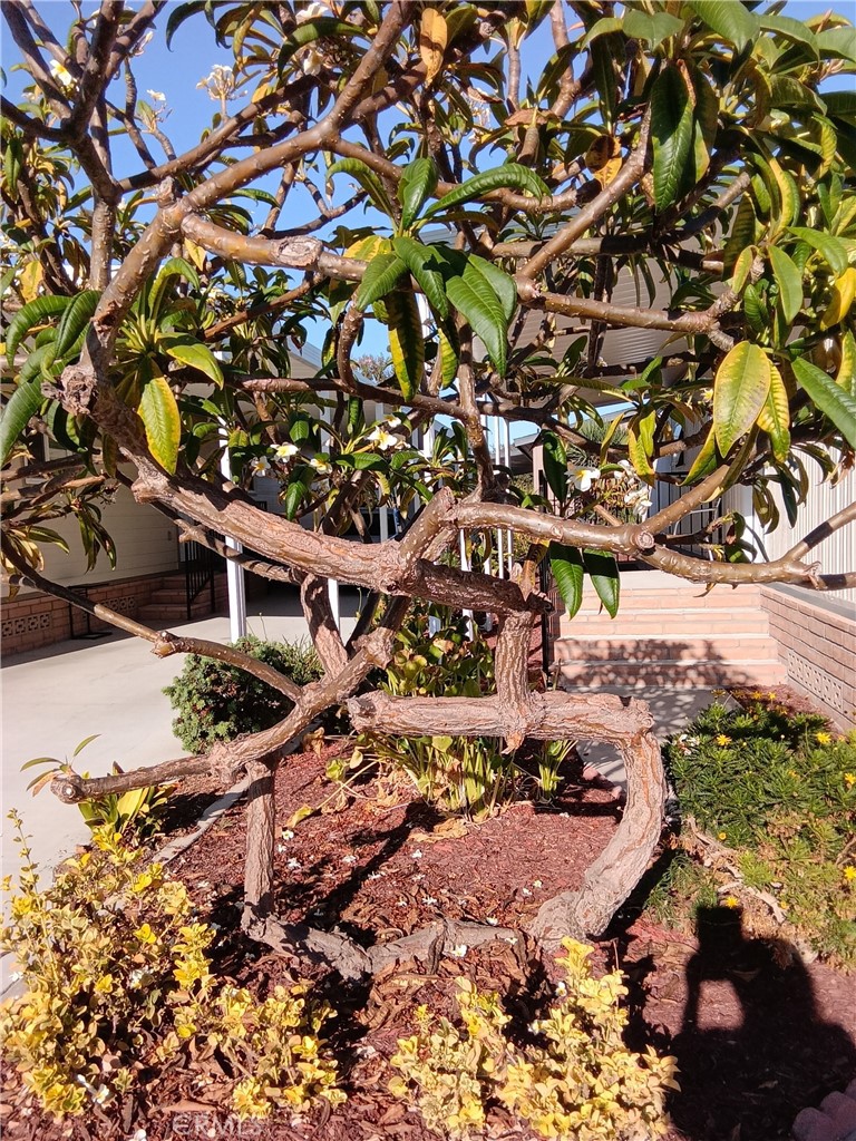 5772 Garden Grove Boulevard 222 Property Photo 13