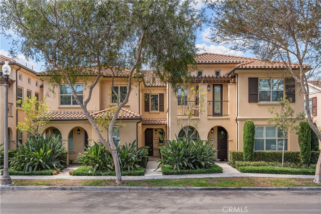 96 Rose Arch 26