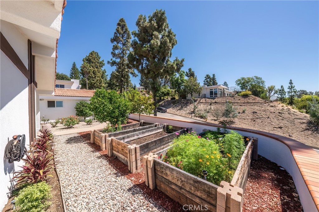 2817 N Mountain Avenue Property Photo 10