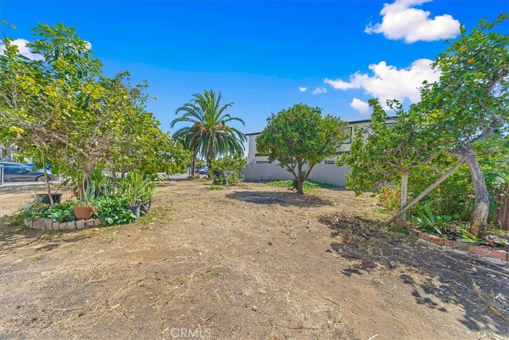 1330 Bush Street Property Photo 37