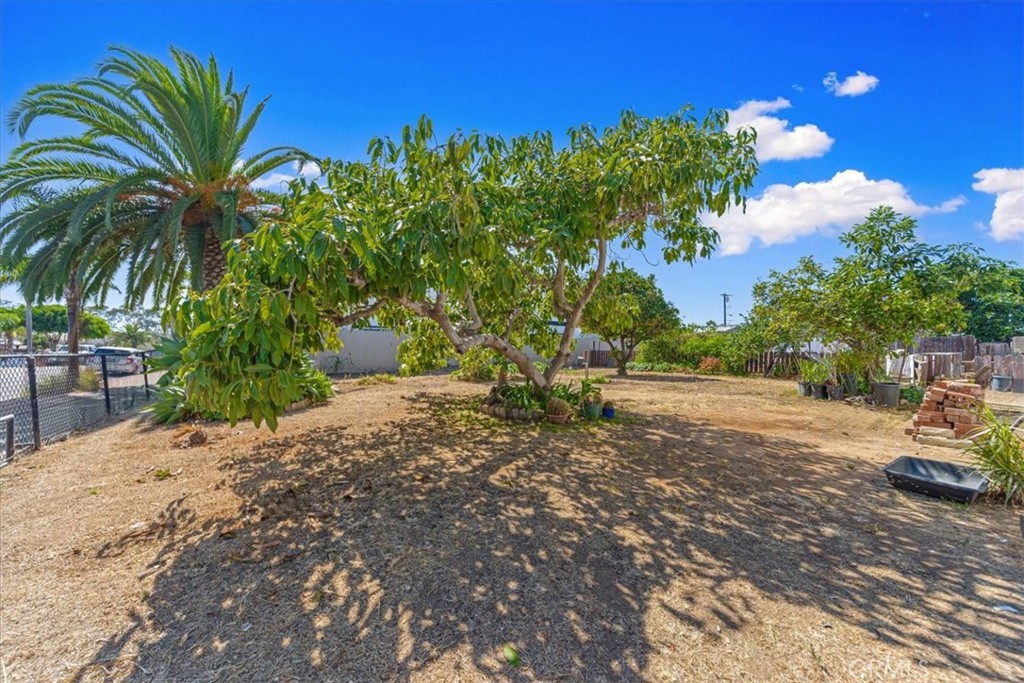1330 Bush Street Property Photo 40