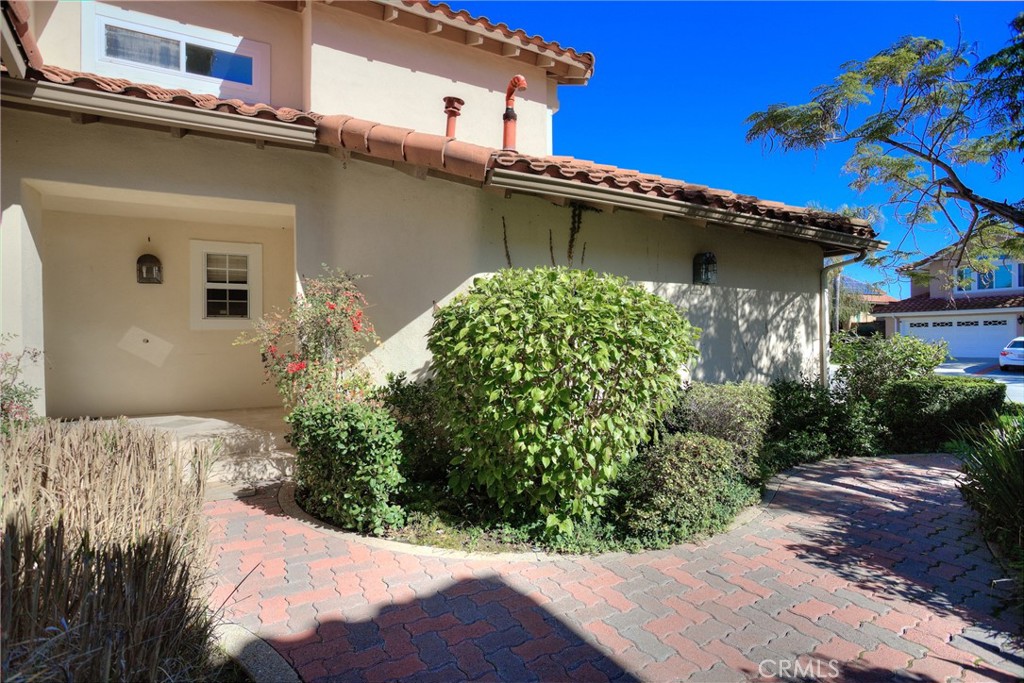 28511 Rancho Grande Property Photo 3