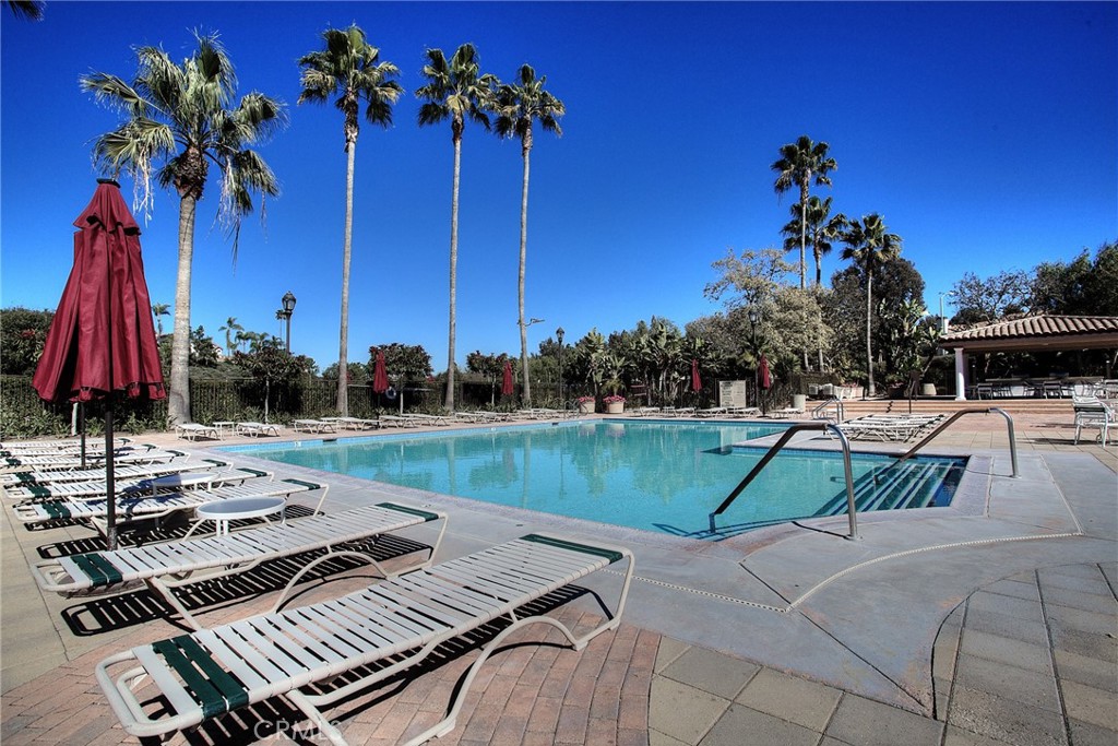 28511 Rancho Grande Property Photo 6