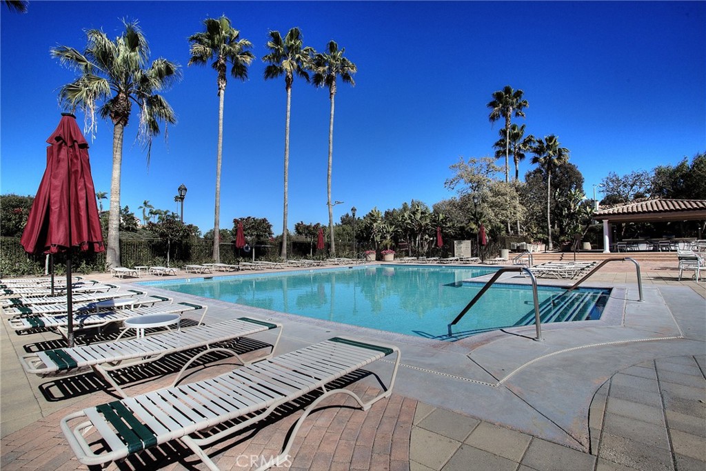 28511 Rancho Grande Property Photo 46