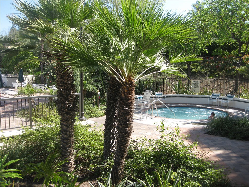 28511 Rancho Grande Property Photo 47