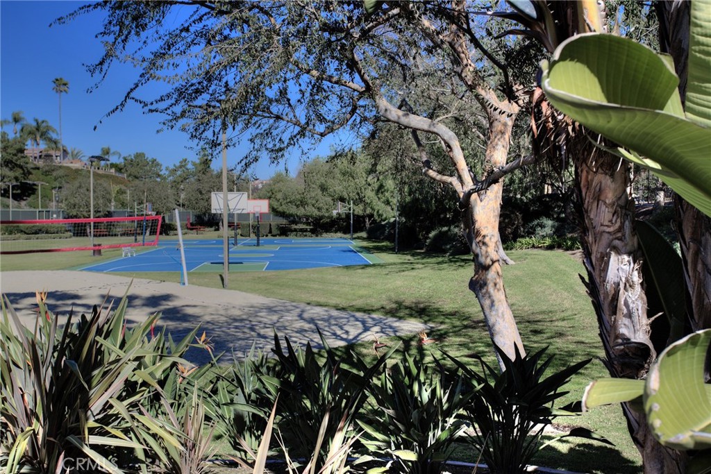 28511 Rancho Grande Property Photo 48