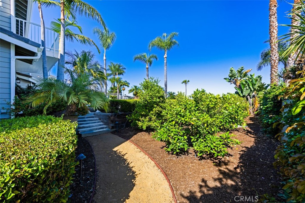 29902 Hillside Terrace Property Photo 52