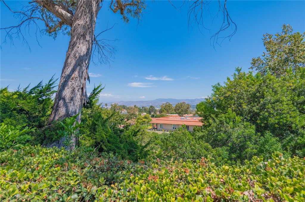 3087 Via Serena N D Property Photo 27