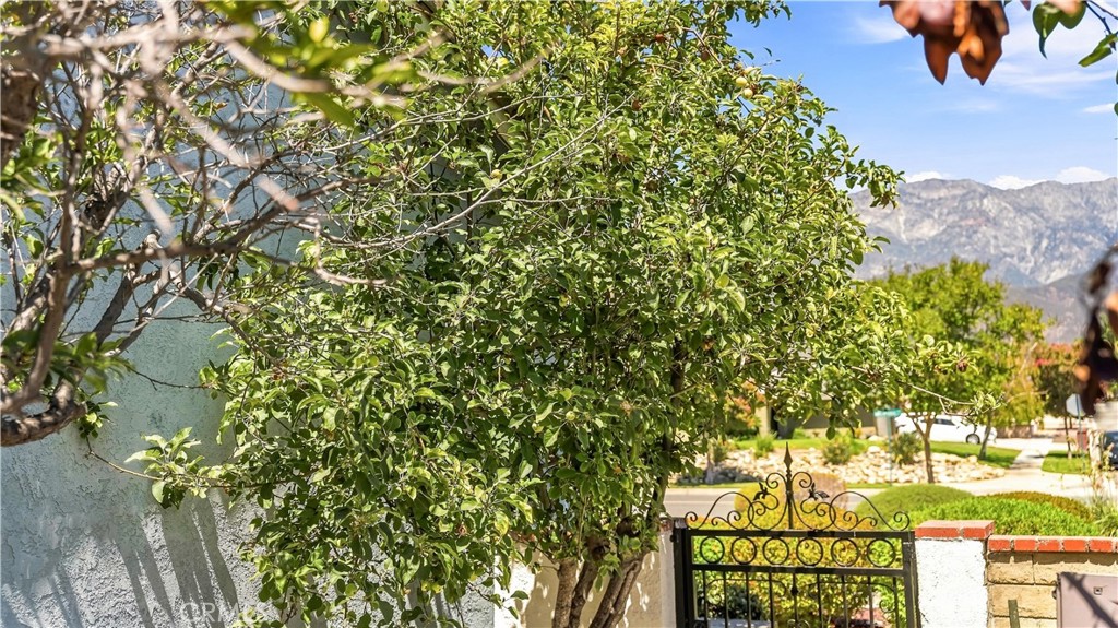 8449 Lemon Avenue Property Photo 15