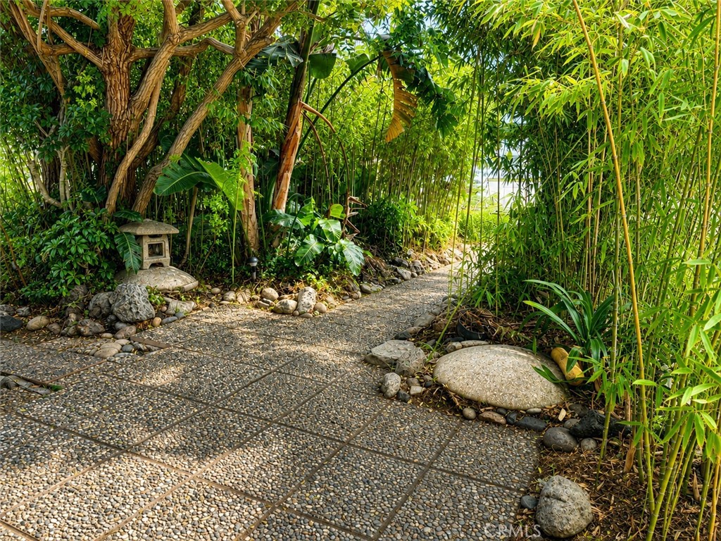 2239 Catherine Property Photo 5