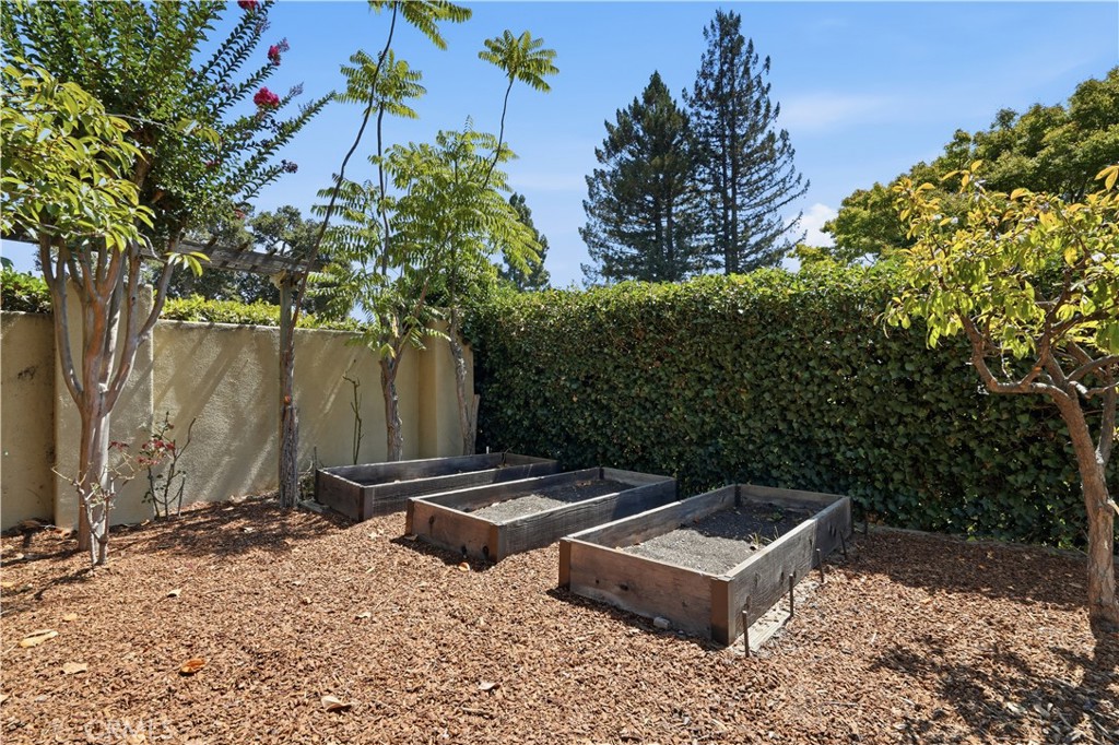 10935 Miramonte Property Photo 40