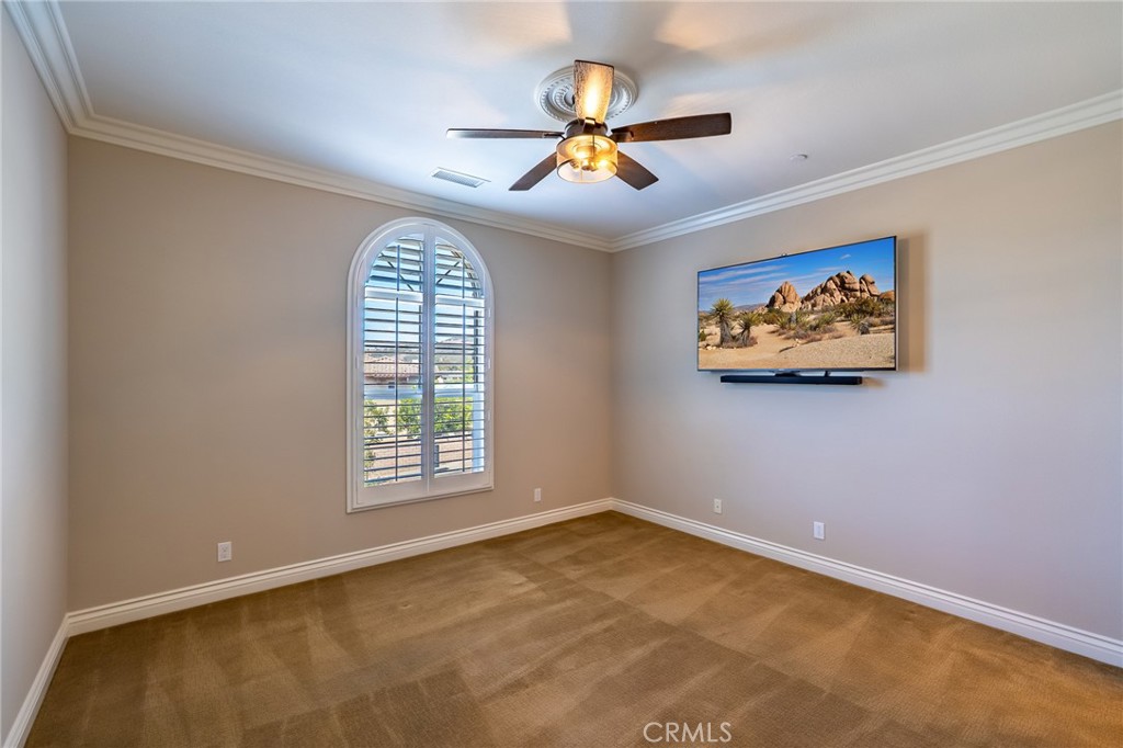 29270 Paseo Palmar Property Photo 33