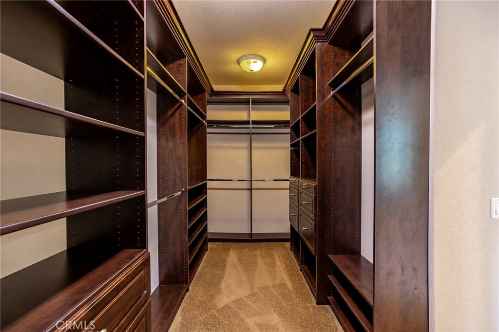 29270 Paseo Palmar Property Photo 46
