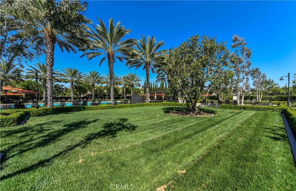 71 Emerald Clover Property Photo 48