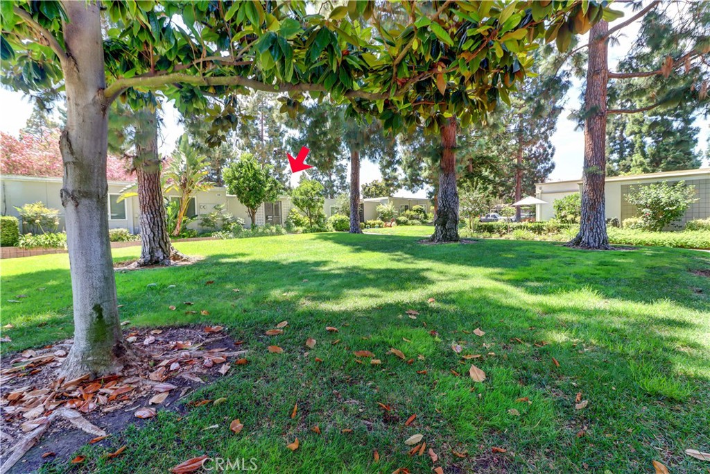 310 Avenida Castilla D Property Photo 34