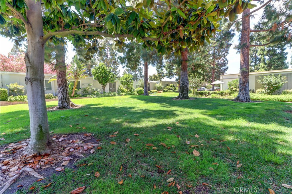 310 Avenida Castilla D Property Photo 35