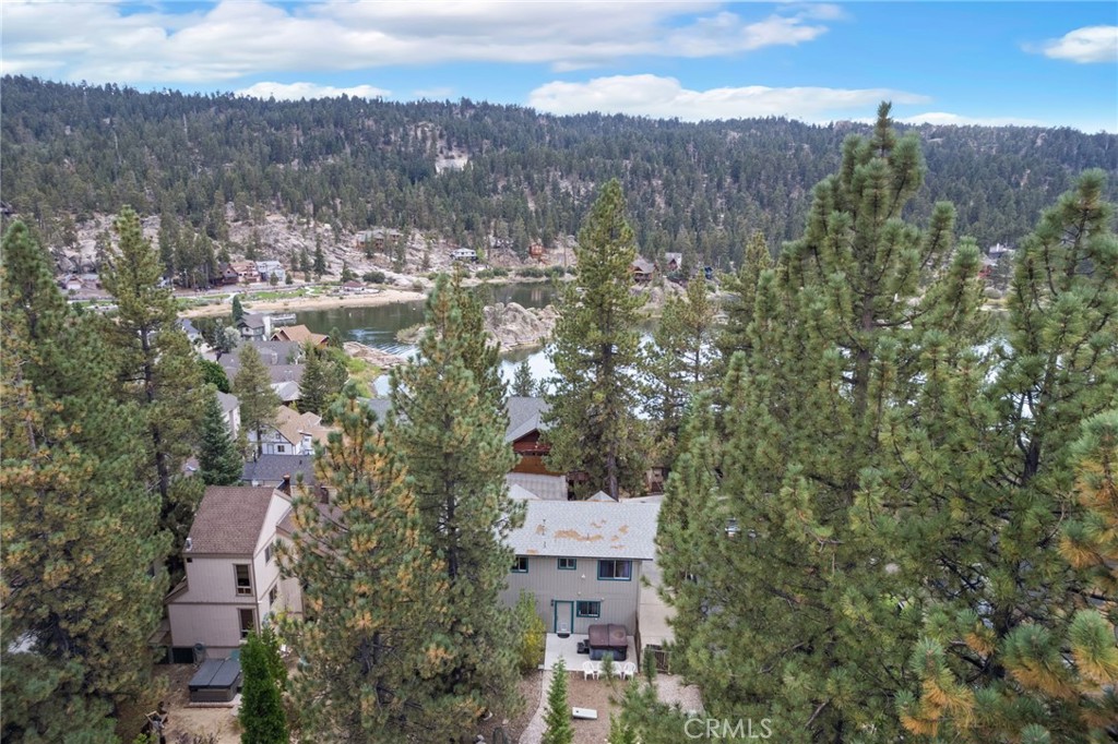 39038 Bayview Lane Property Photo 41