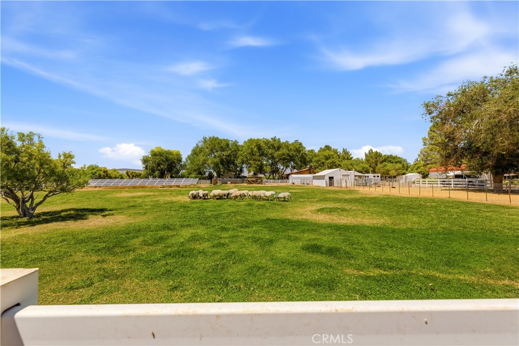 2500 Kingston Road Property Photo 14
