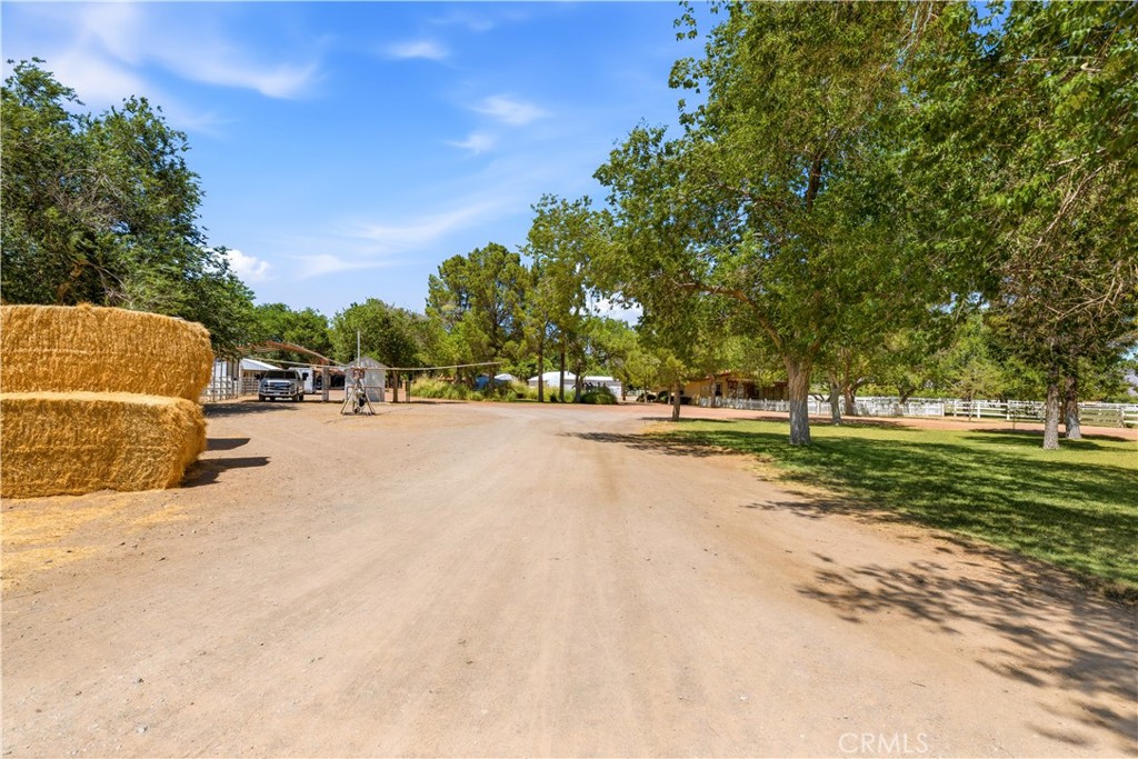 2500 Kingston Road Property Photo 16